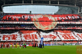 Kaiyun开云APP下载-中超成都蓉城直播免费观看