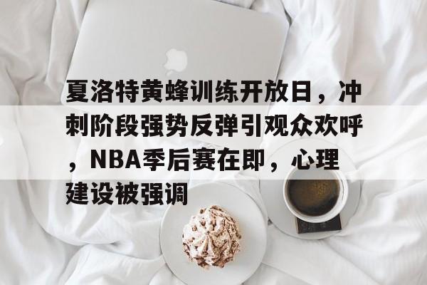 关于夏洛特黄蜂训练开放日，冲刺阶段强势反弹引观众欢呼，NBA季后赛在即，心理建设被强调的信息