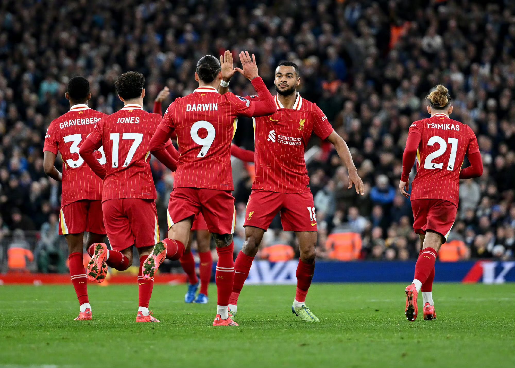 田栩宁的言论背后的深意 田栩宁的言论背后的深意